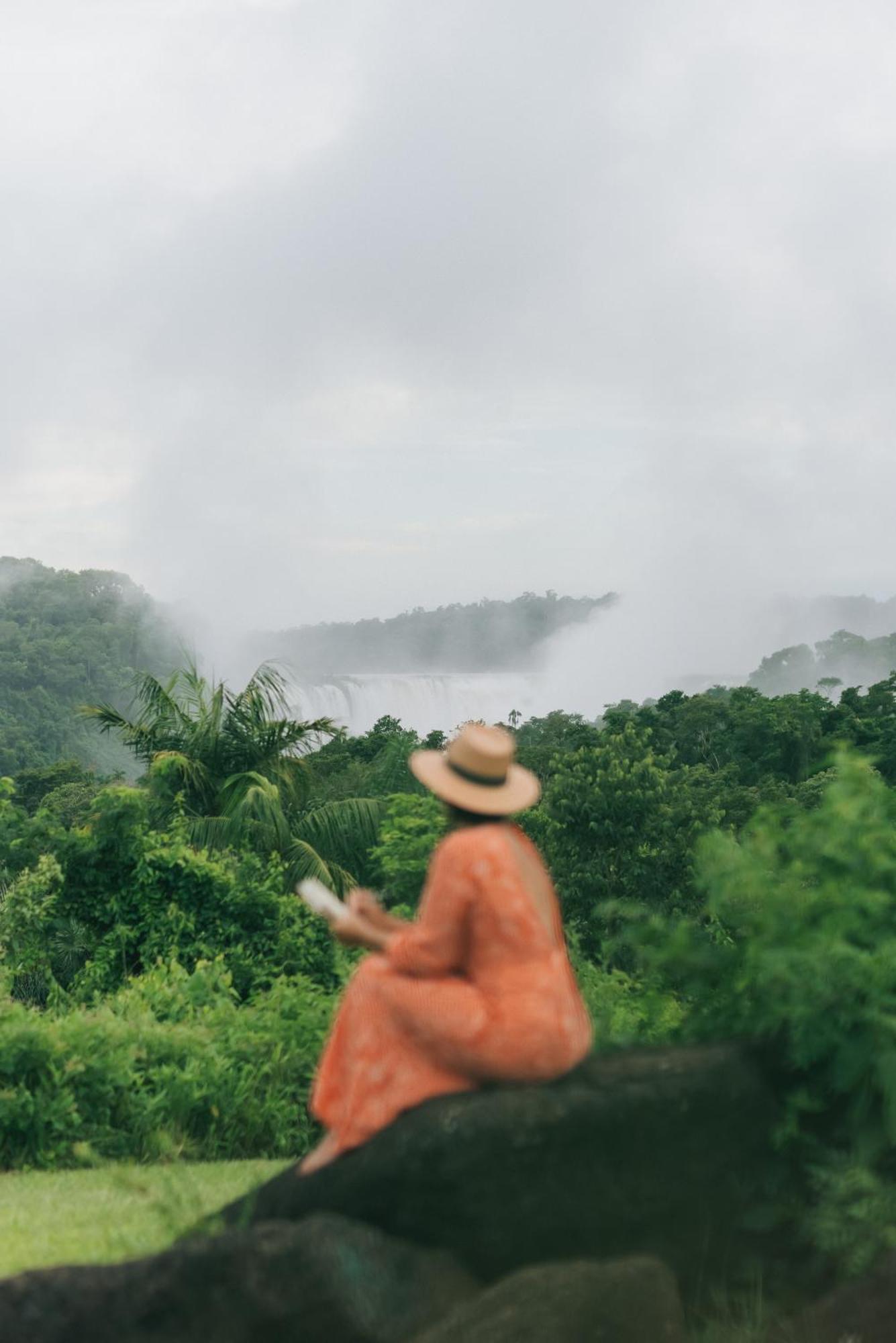 מלון פוארטו איגואסו Gran Melia Iguazu מראה חיצוני תמונה View of the park